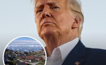 President Trump makes bold comments as he plans to acquire control of Greenland