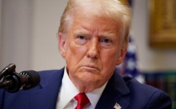 Donald Trump says he wants to ‘clean out’ Gaza