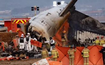 Officials make huge DNA discovery investigating Korean plane crash that killed 179