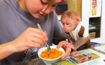 Bibi’s Sweet Reunion: Mom Brings Home Delicious Fruits!