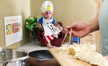 Bibi’s Hungry Call: Dad’s Pancake Rescue!