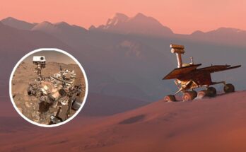Astrobiologist says we might have found life on Mars 50 years ago but accidentally killed it