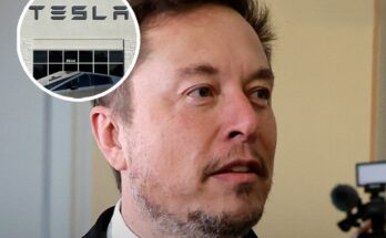 Elon Musk finally makes admission about Tesla that backtracks on decade long 'promise'