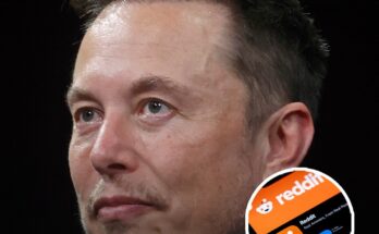 Elon Musk fires shots at Reddit following fallout with Wikipedia owner