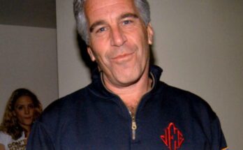 Jeffrey Epstein's surprising final prison visitor revealed