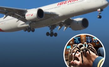 Pilot suffers allergic reaction after being bitten by tarantula mid-flight