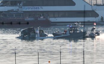 Dad shares devastating moment he realized something was wrong as wife and son died in American Airlines crash