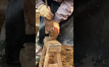 Effortless Hoof Care: The Right Tools and Machinery for Safe and Easy Horse Foot Cleaning