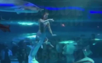 Mermaid performer who had giant fish bite her head in front of terrified children speaks out about horrifying incident