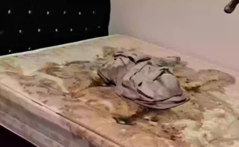 'Harry Potter Airbnb' owner left gutted by ‘most horrific scene’ she was greeted with by Booking.com guests