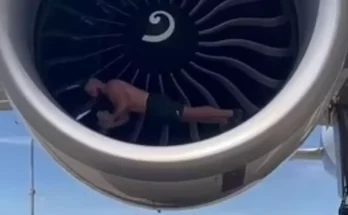 Bodybuilder defends 'dangerous' stunt after filming himself doing push-ups in moving plane engine