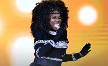Angie Stone tragically killed in car crash