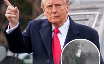 Trump declares 'fugitive leader of ISIS' has been killed following US airstrike