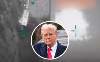 Trump declares 'fugitive leader of ISIS' has been killed following US airstrike