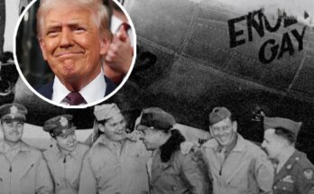 Trump admin removes 'gay' plane from online database in bizarre DEI purge