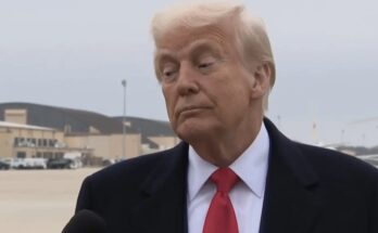 President Trump reacts after reporter hits him in the face with boom mic