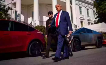 People shocked to learn what was written on Donald Trump's paper as he bought Tesla to support Elon Musk's 'baby'