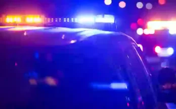 Babysitter shocked after checking for 'monsters' under child's bed but discovering something far more sinister