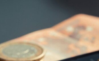 Traveler Plans Japan Trip, Then Friends Add Strangers, They Cancel And Wonder If They’re The Jerk