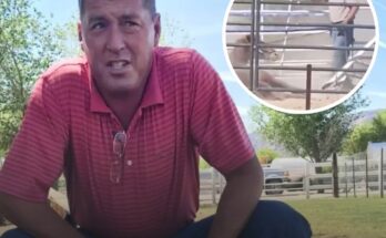 Las Vegas veterinarian who was filmed kicking horse in the face is found dead in lake weeks after disappearing