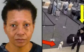 Airport Worker Makes Horrific Discovery After Woman Told She Can’t Fly With Pet Dog
