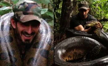 Man Who Tried To Get Eaten Alive By Snake Immediately Regretted It