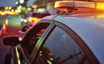 Girl, 4, is found alive after 'surviving on chocolate' while trapped in home with bodies of her mom and 8-year-old brother