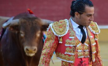 Final words of bullfighter who was fatally gored by bull after tripping on his own cape
