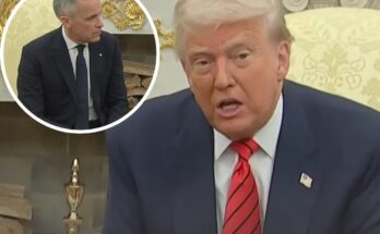 Donald Trump's brutal 3-word response after Mark Carney says Canada is 'not for sale'