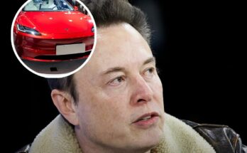 Elon Musk could power insane number of Tesla vehicles with $1,500,000,000,000 discovery of precious metal hiding in US state