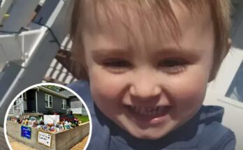 Heartbroken mom claims son, 3, 'lay dead for hours' at daycare without staff realizing