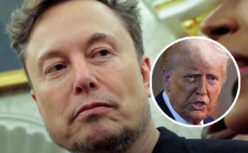 Former Trump official reveals 'proof' Elon Musk actually thinks Trump is 'an idiot'