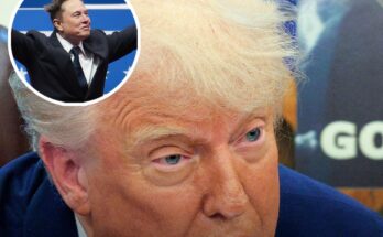How Trump’s $175,000,000,000 'Golden Dome' slammed as 'dumbest idea in American history' will make Elon Musk significantly richer