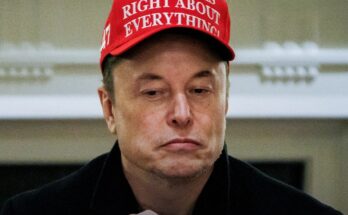 Elon Musk officially resigns from government days after publicly critizing Donald Trump