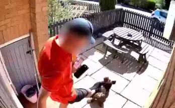 'Cruel' Royal Mail postie caught on camera kicking customer's 'attention-loving' puppy in the face